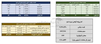 دادوستد ۶۶۴ کیلوگرم شمش نقره و گردش مالی ۵۳ میلیارد تومانی صندوق‌های مبتنی بر آن