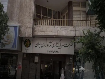 کورزی چقدر سود تصویب کرد؟