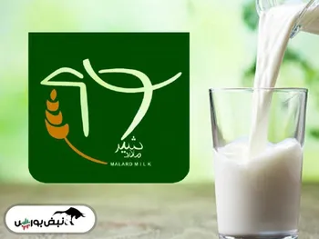 مجمع زملارد | افزایش سرمایه ۲۶۶ درصدی چه زمانی به ثبت می‌رسد؟