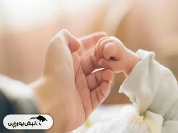 سهام نوزادان ۱۴۰۲ چه شد؟