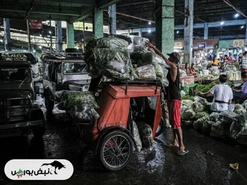 کاهش قیمت برنج در فیلیپین به چراغ قرمز رسید