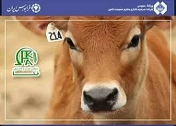 افشای ب این نماد را متوقف کرد