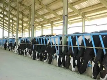 رشد ۱۹۴ درصدی درآمد‌های زیرمجموعه شستا/ عملکرد زملارد در سال ۹۹ چگونه بود؟