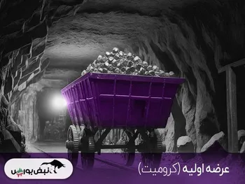 ناظر در کشیدن ترمز کرومیت هتریک کرد! | دلیل فروش‌های این سهامدار عمده چیست؟