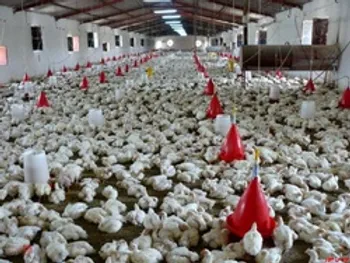 اولین خبر درباره عرضه اولیه سپید | سپید امروز بازگشایی می شود؟