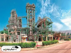 گزارش هیئت مدیره جم پیلن به مجمع عمومی | سود محقق و پیشنهادی جم پیلن چه میزان تفاوت دارند؟