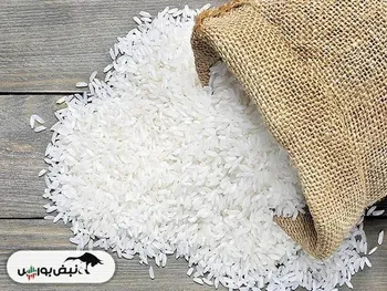 آخرین وضعیت برنج وارداتی