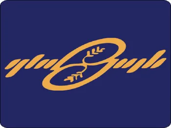 زپارس در دروه ۹ ماهه چگونه عمل کرد؟