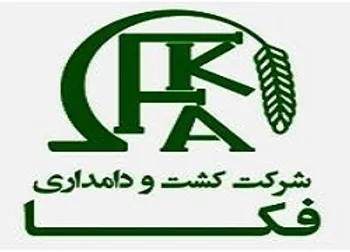 «زفکا» ۲۴۲ تومان سود داد