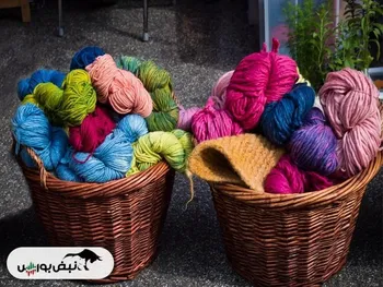 کدال نتوس | عملکرد ۱ ساله زیر ذره بین