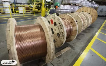 مس در قامت گل سرسبد بخش انرژی و فناوری قد علم خواهد کرد