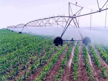 آغاز عملیات بازارگردانی بر آبین