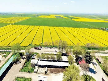 سود ۹ ماهه زشریف چقدر شد؟