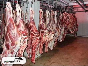 دست پشت پرده و علت گرانی گوشت برملا شد!