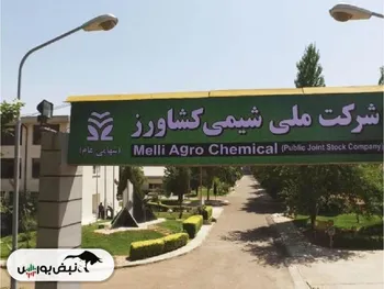 شملی بازگشایی می شود