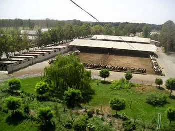 زدشت و مجوز احداث باغ گردوی 95 هکتاری