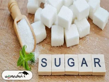 خبری مهم برای نمادهای قندی | کدام نماد‌ها در سامانه کدال اطلاعیه منتشر کردند؟