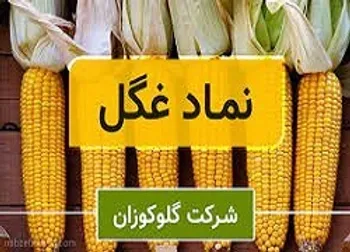 گزارش سود هر سهم غگل در پایان سال مالی
