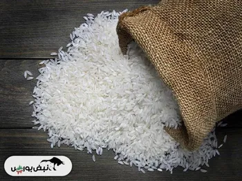 قیمت جدید برنج ایرانی امروز ۱۹ بهمن ماه ۱۴۰۴