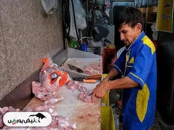 قیمت مرغ امروز یکشنبه ۱۹ بهمن ۱۴۰۴