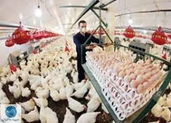 سپید دست به افشای اطلاعات زد