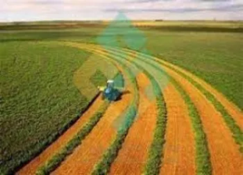 این نماد در وضعیت سفارش گیری قرار گرفت