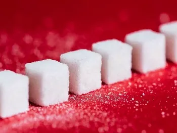 کارنامه ۶ ماهه قیستو منتشر شد