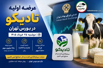 هر آنچه باید درباره عرضه اولیه تادیکو باید بدانید | عرضه اولیه تادیکو بخریم یا نه؟
