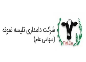 تلیسه در ماه نخست ۱۴۰۰ چه کرد؟