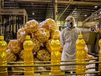 غمارگ تاییدیه کاهش روغن را نگرفته است