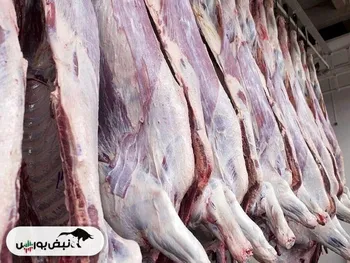 گوشت مخلوط از یک میلیون گذشت