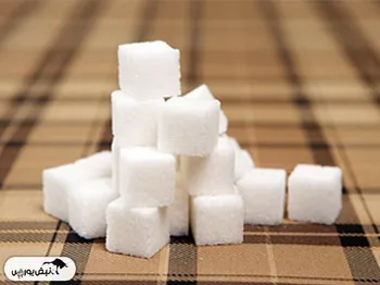 قشرین مجمع برگزار می کند