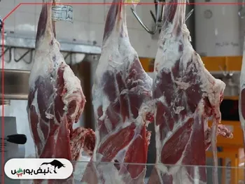 قیمت گوشت قرمز امروز ۲۳ بهمن ۱۴۰۴