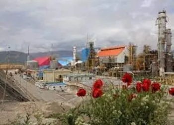 دلیل توقف شلرد چیست؟