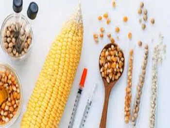 توقف به علت افزایش بیش از ۵۰ درصدی قیمت