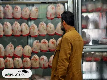 قیمت مرغ امروز دوشنبه ۴ اسفند ۱۴۰۴