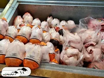 اعلام قیمت جدید مرغ در بازار