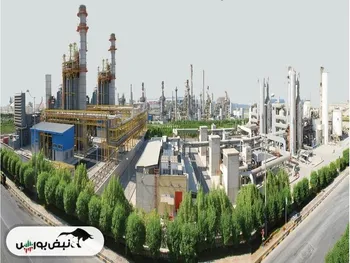 مبین افشای اطلاعات زد