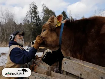 لبنیات در دنیا و آمریکا در منطقه بحران!