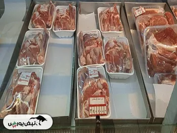 حجم واردات گوشت بی‌سابقه است