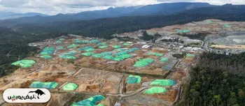 توسعه زنجیره خودروهای الکتریکی؛ هدف آرمان‌گرایانه بعدی اندونزی