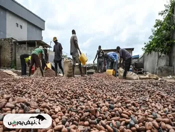قیمت شکلات سر به فلک می کشد | نشانه ای از کاهش تقاضا نیست!