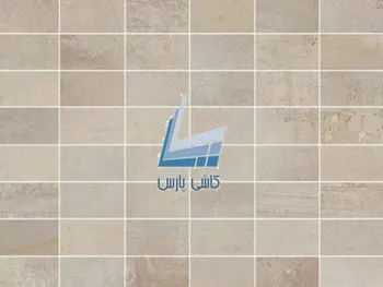 چرا کپارس متوقف شد؟