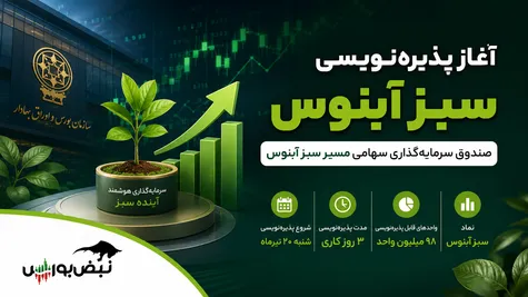 صندوق سهامی جدید در راه بورس | هر آنچه باید درباره پذیره‌نویسی «سبز آبنوس» بدانید