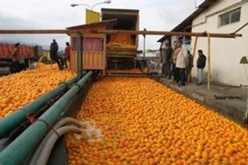 دیوار کوتاه سهامدار خرد/حال و روز ناخوش سهامداران غنوش