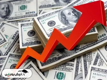 قیمت دلار امروز سه شنبه ۲۲ آبان ۱۴۰۳ | نرخ دلار نیمایی از ۵۰ هزار تومان عبور کرد؛ خبری خوش برای بورسی‌ها