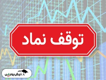 ۱۲ نماد در پایان معاملات امروز متوقف می‌شوند| دلیل توقف این نماد‌ها چیست؟