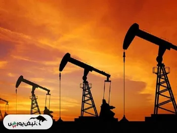 قیمت نفت در بالاترین رکورد ۸ هفته ایستاد