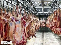 قیمت هر کیلو گوشت وارداتی در بازار چند؟
