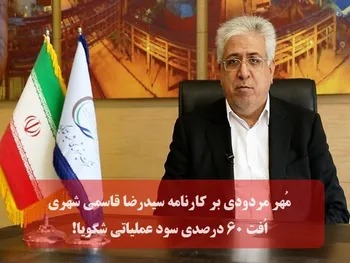 مُهر مردودی بر کارنامه سیدرضا قاسمی شهری در شگویا | سقوط ۶۰ درصدی سود عملیاتی شگویا!